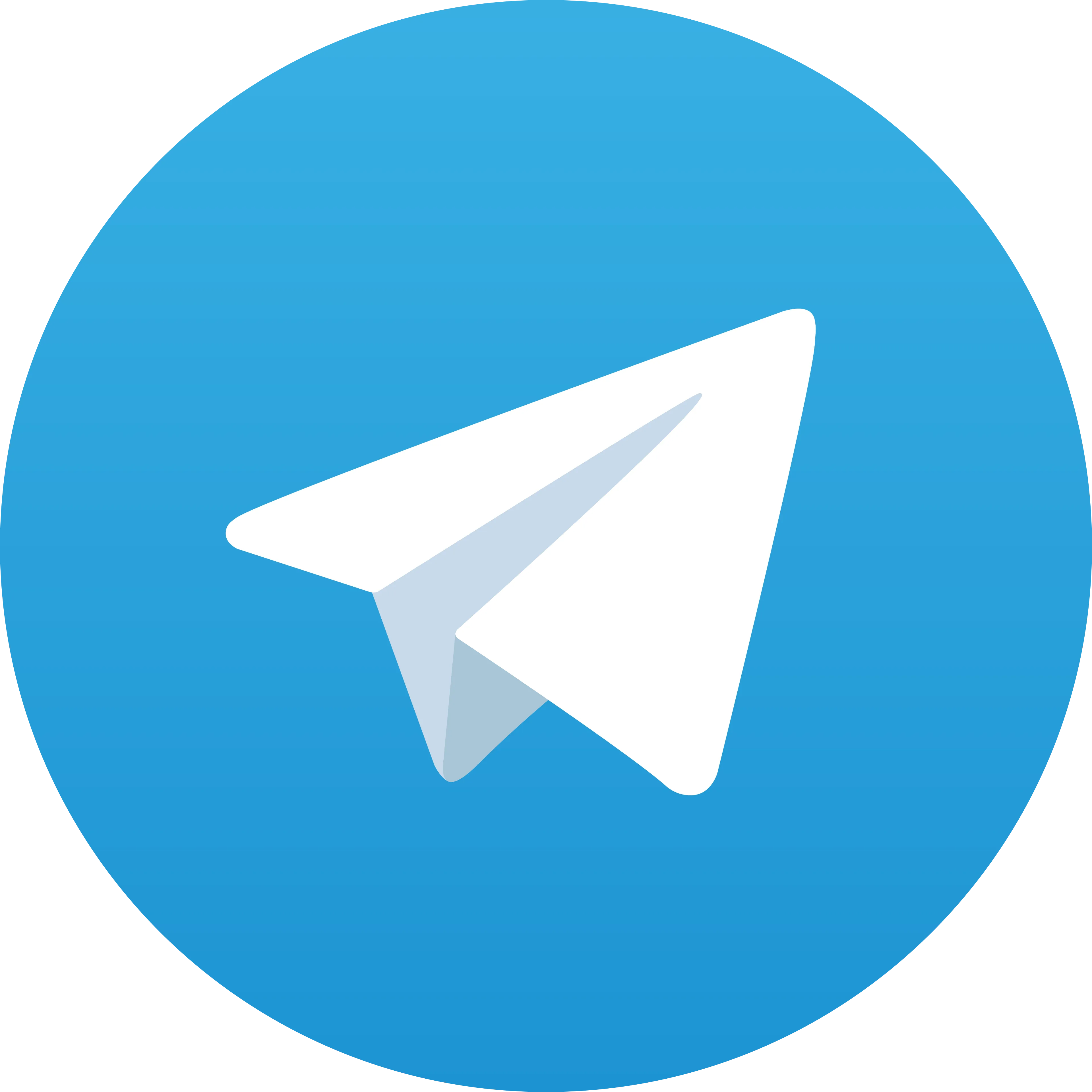 footer-social-icon